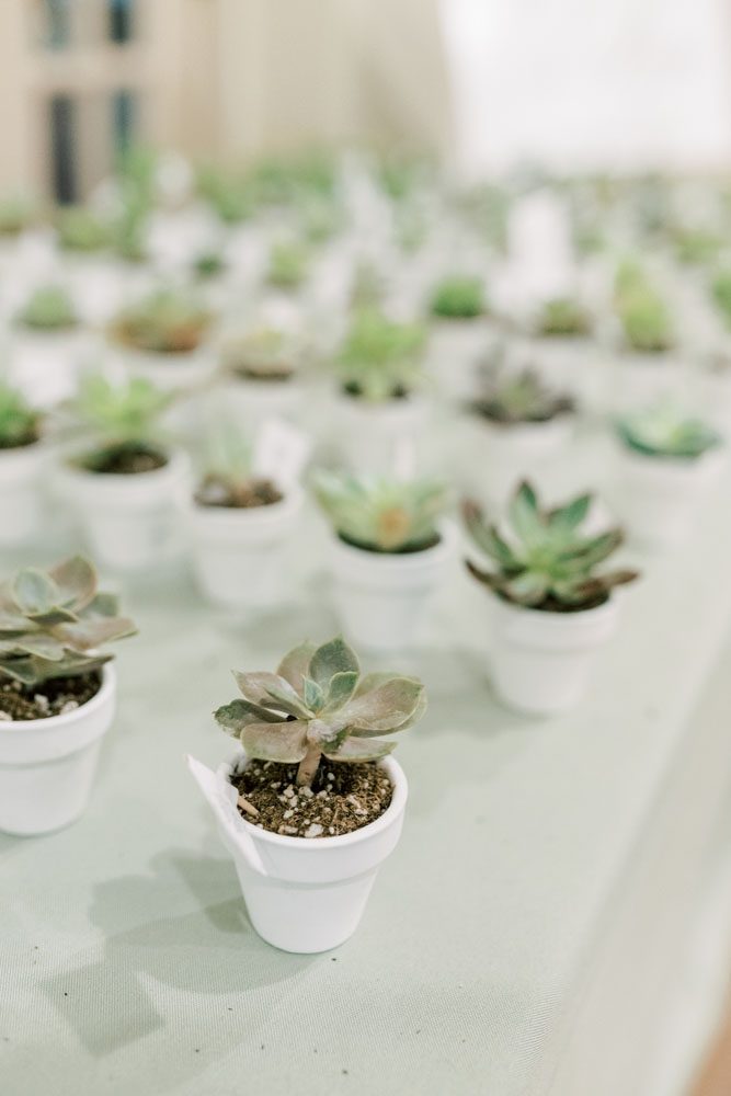 Plant Placecards