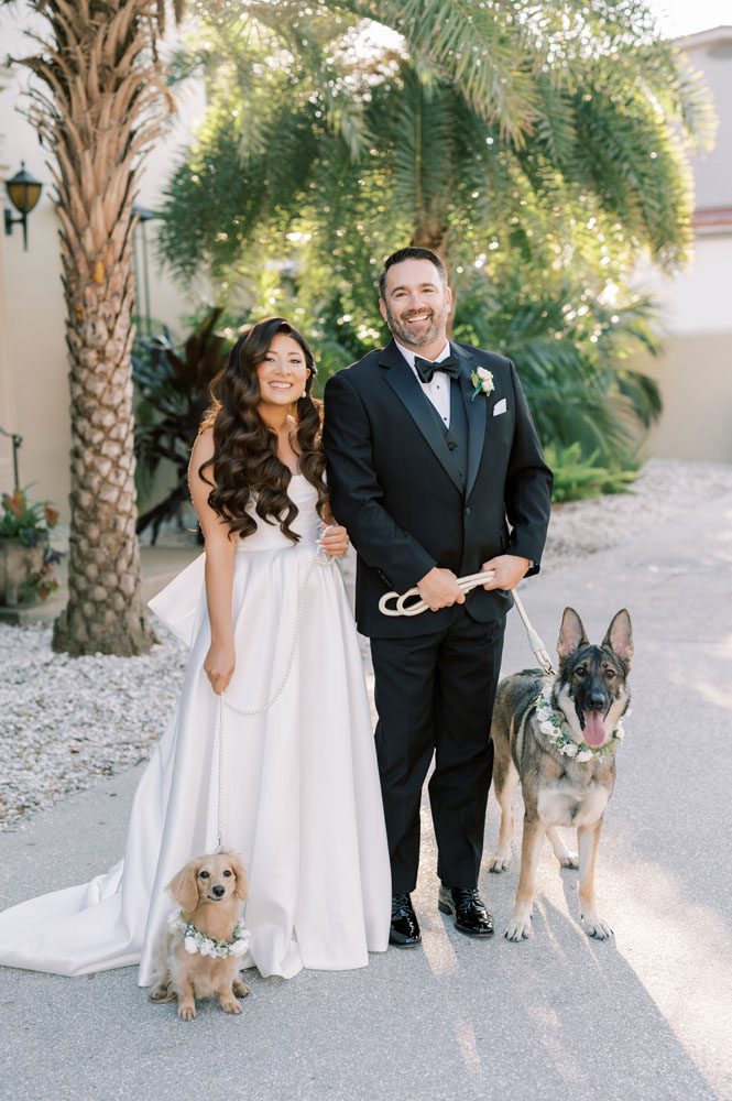 Bride and Groom's dogs