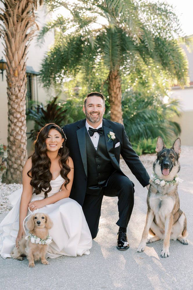 Bride and Groom with their dogs