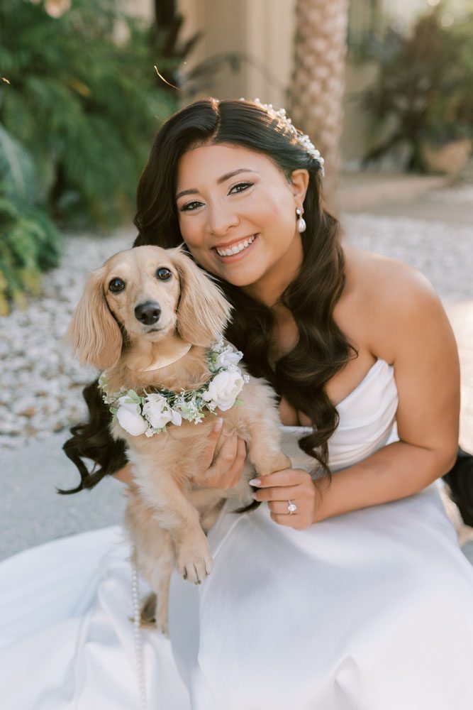 Bride and Groom's dogs