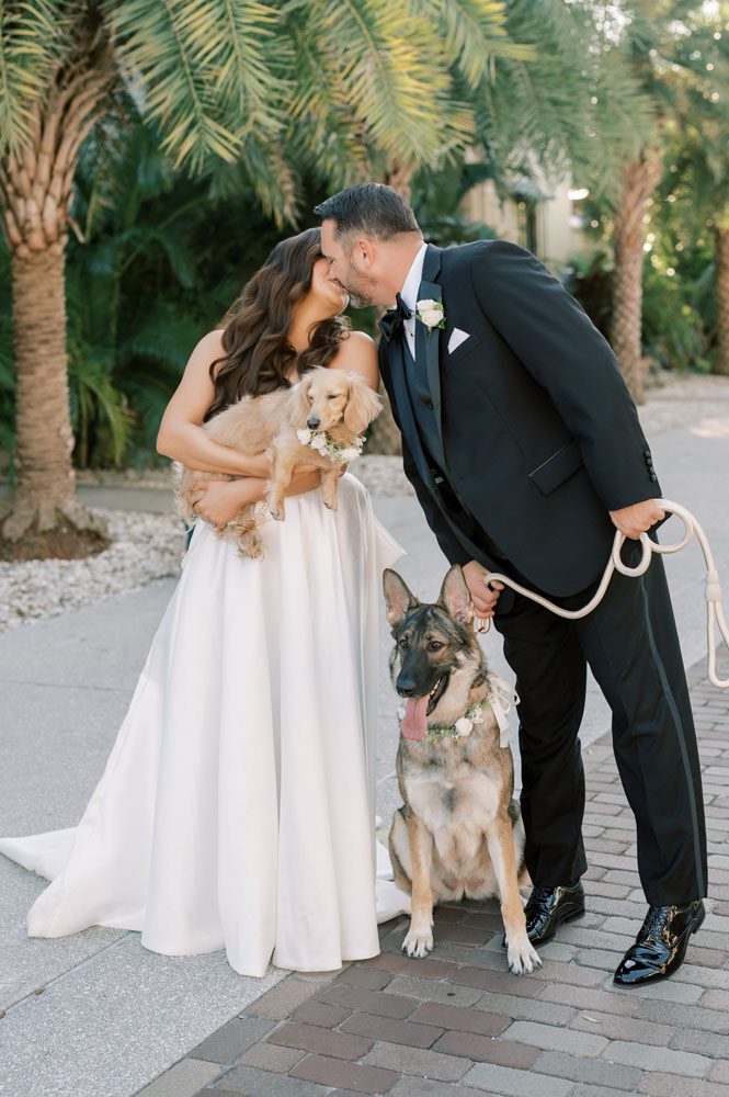Bride and Groom's dogs