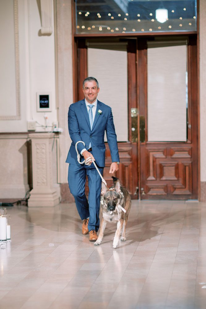 Dog walking down the aisle