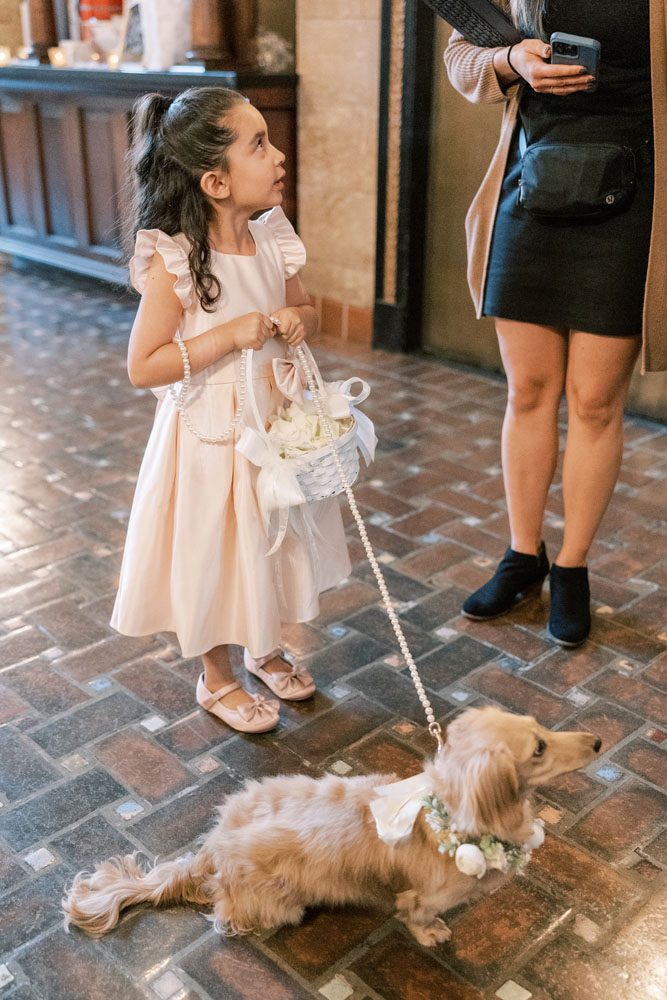 Flower girl walking with dog