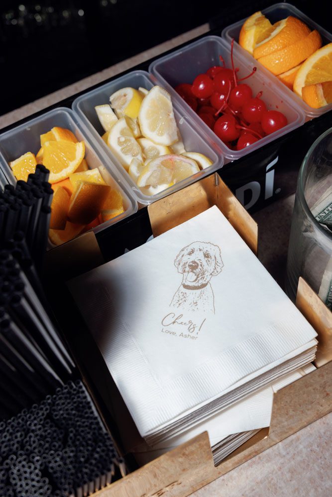 Cocktail napkins